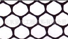 CE151W