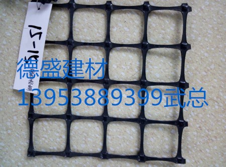 山東直銷雙向拉伸塑料土工格柵