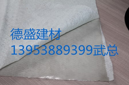 EVA土工膜選擇泰安德盛建材廠家