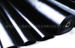 大明