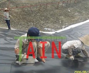 Ĥ