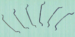 ^wS