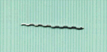 wS