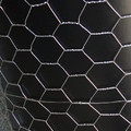 上海石籠網(wǎng)/建燁篩網(wǎng)廠