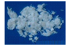 wS