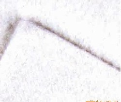 復(fù)合土工膜300g-1800g