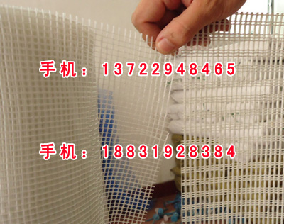 大眼網(wǎng)格布www.jinbaoboxia