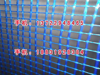 外墻保溫專(zhuān)用網(wǎng)格布