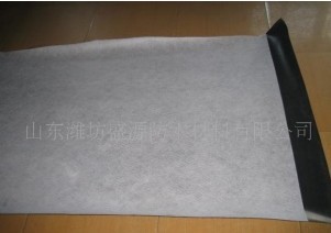 EVA高分子復合自粘防水卷材