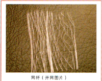 ۱ϩW(wng)wS