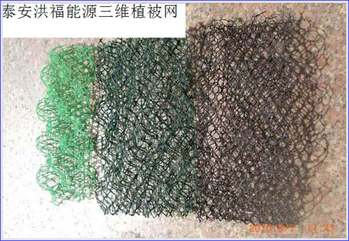 三維植被網