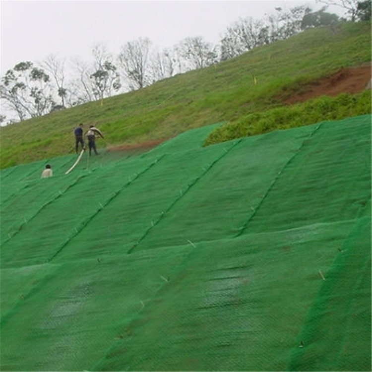 EM3三維植被網生態修復邊坡固土園林綠化