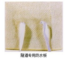 βVBͺĤ