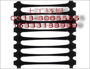 供應(yīng)單向塑料土工格柵