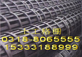 供應(yīng)鋼塑土工格柵