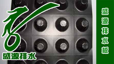 pˮ尼ʽˮN