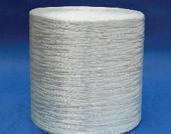 wS
